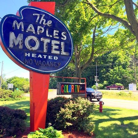 ساندسكاي Maples Motel المظهر الخارجي الصورة