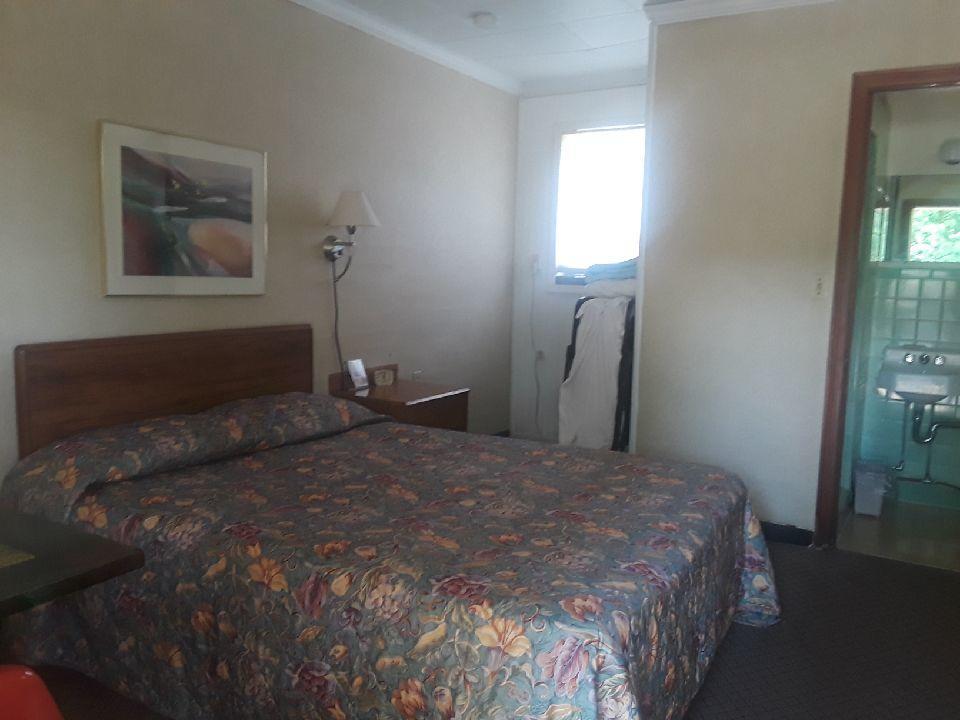 ساندسكاي Maples Motel المظهر الخارجي الصورة